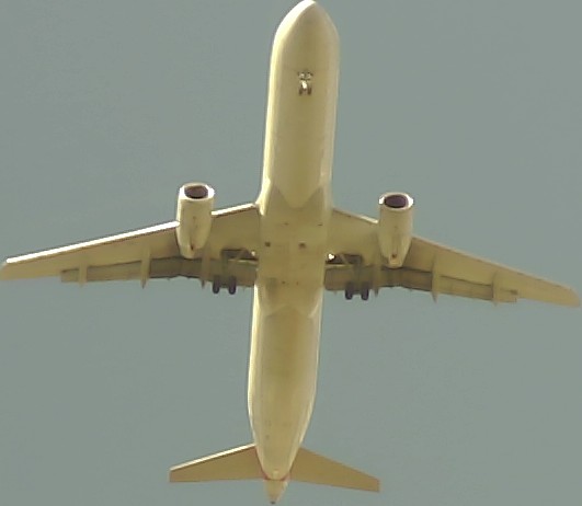 Airplane Picture