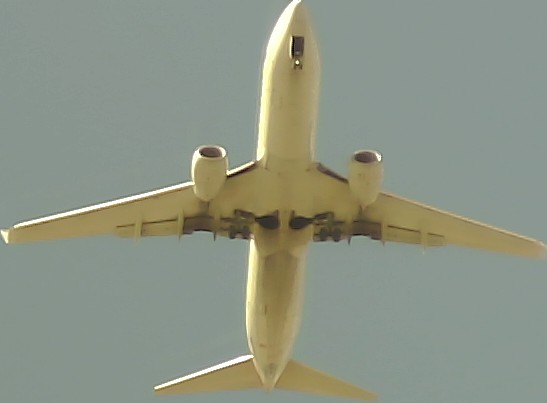 Airplane Picture