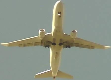 Airplane Picture