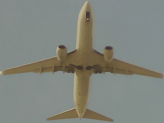 Airplane Picture