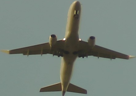 Airplane Picture