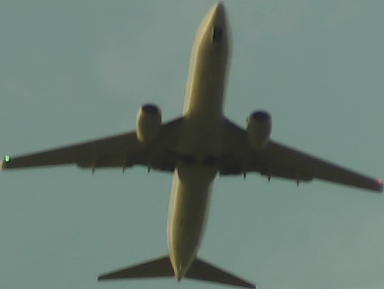 Airplane Picture