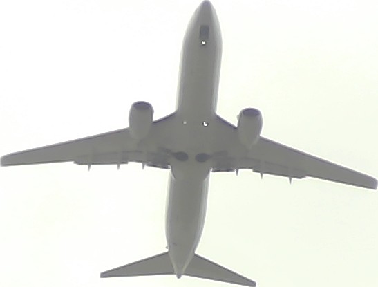 Airplane Picture