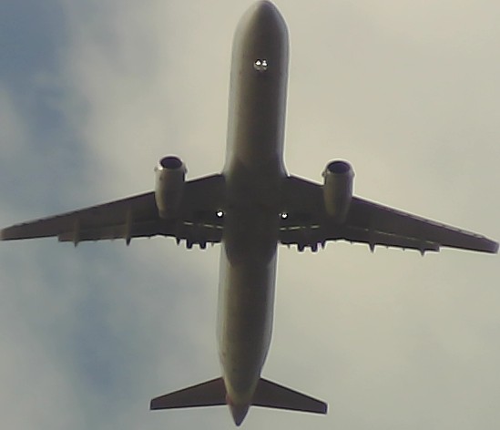 Airplane Picture
