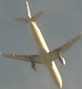 Airplane Picture