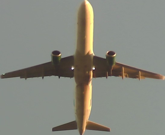 Airplane Picture