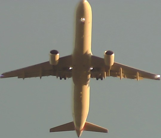 Airplane Picture