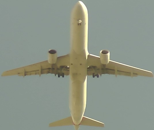 Airplane Picture