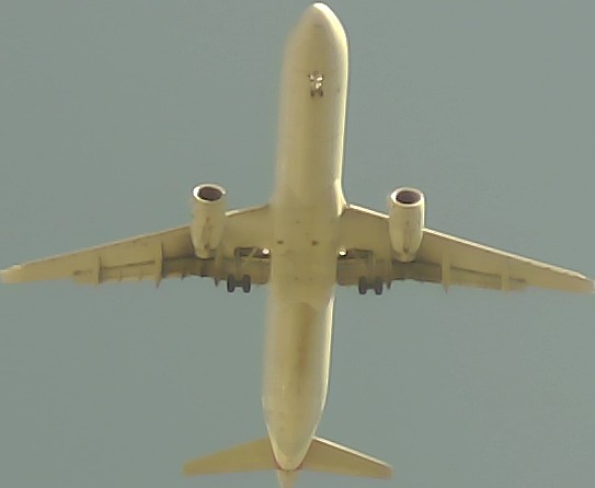 Airplane Picture
