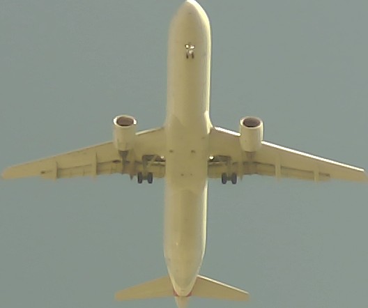 Airplane Picture