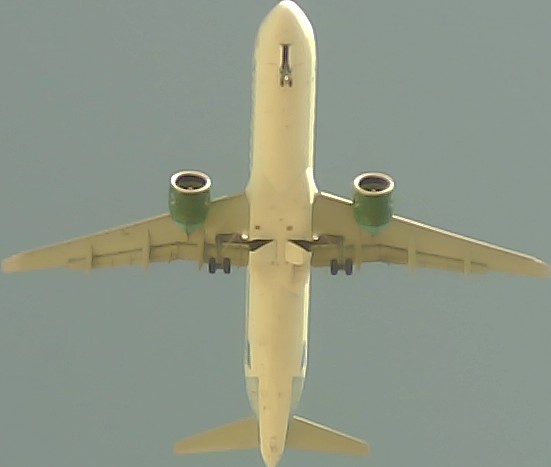 Airplane Picture