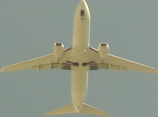 Airplane Picture