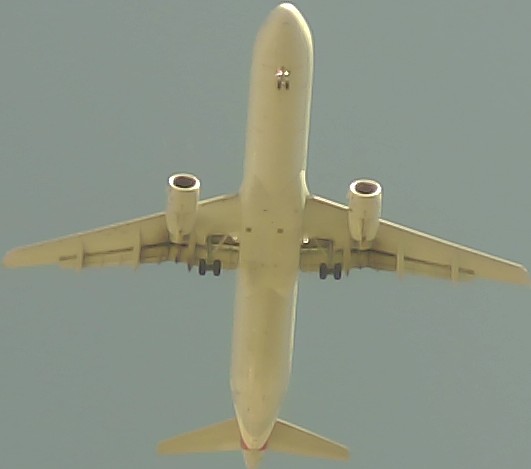 Airplane Picture