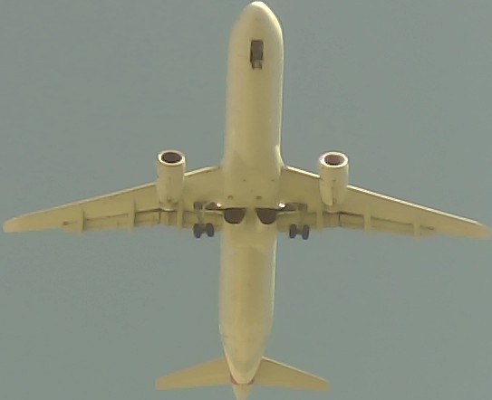 Airplane Picture