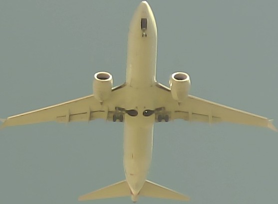 Airplane Picture