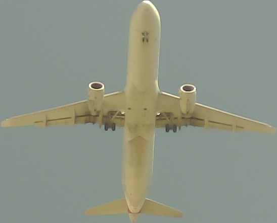 Airplane Picture