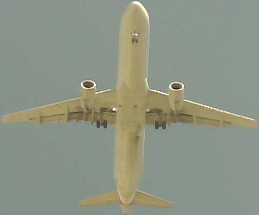 Airplane Picture