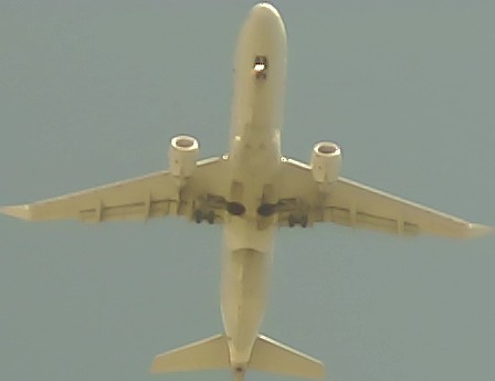 Airplane Picture