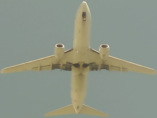 Airplane Picture