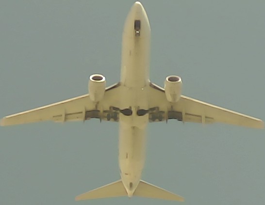 Airplane Picture