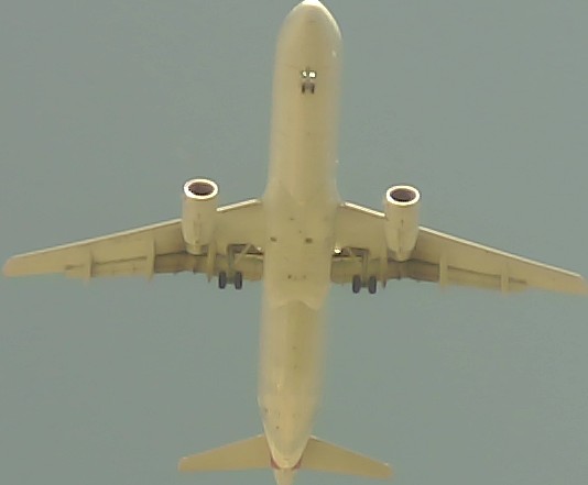 Airplane Picture