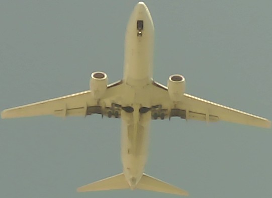 Airplane Picture