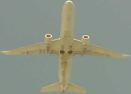Airplane Picture