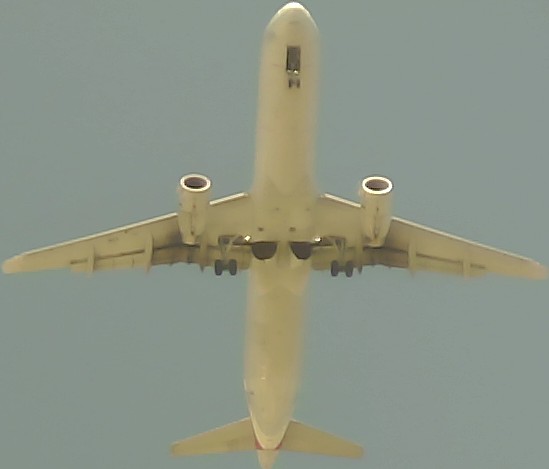Airplane Picture