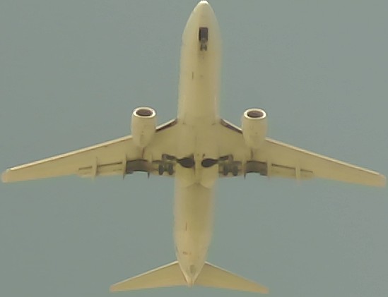 Airplane Picture