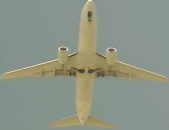Airplane Picture