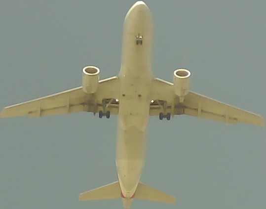 Airplane Picture