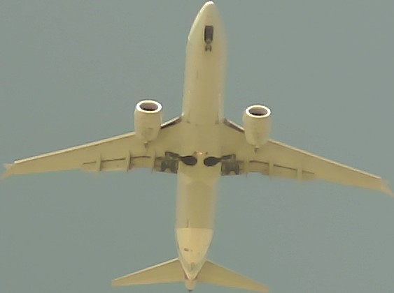 Airplane Picture
