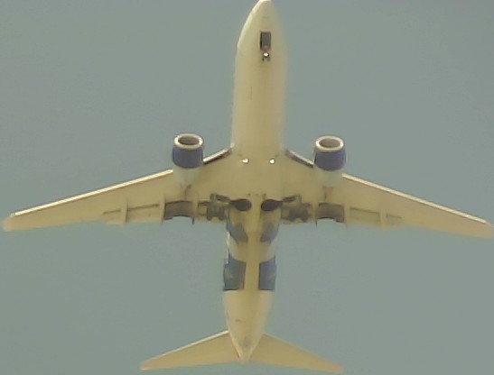 Airplane Picture