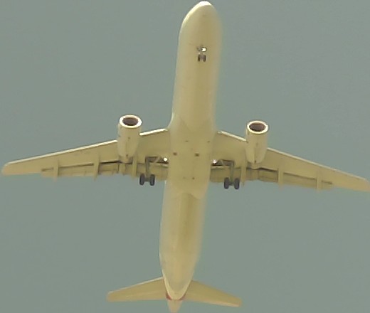 Airplane Picture
