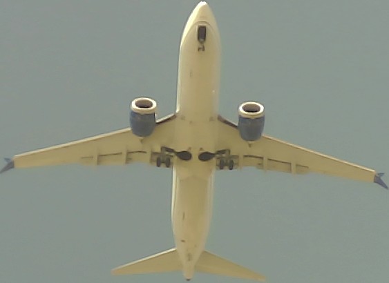 Airplane Picture