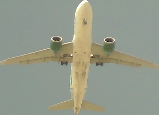 Airplane Picture