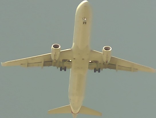 Airplane Picture
