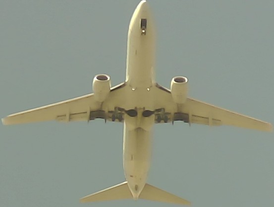 Airplane Picture