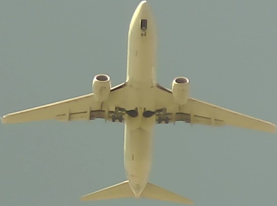 Airplane Picture