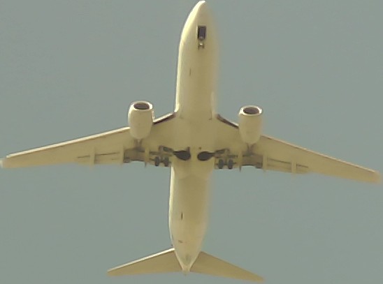 Airplane Picture