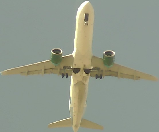 Airplane Picture