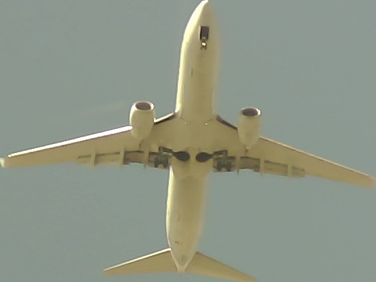 Airplane Picture