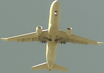 Airplane Picture