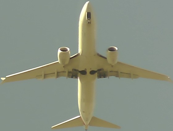 Airplane Picture