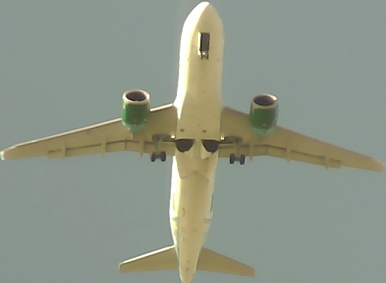 Airplane Picture