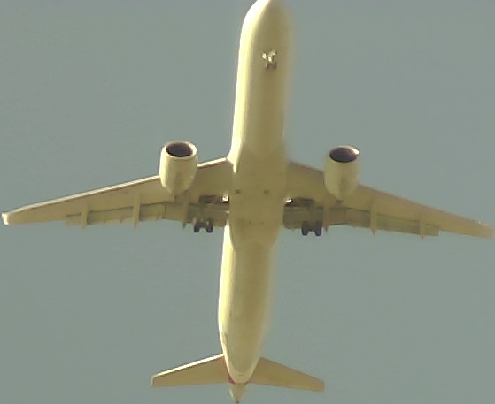 Airplane Picture