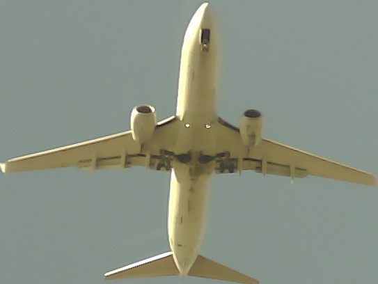 Airplane Picture