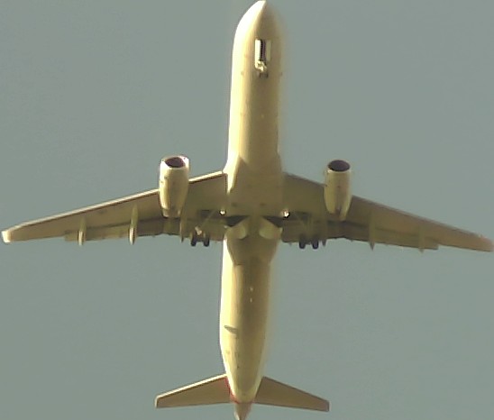 Airplane Picture
