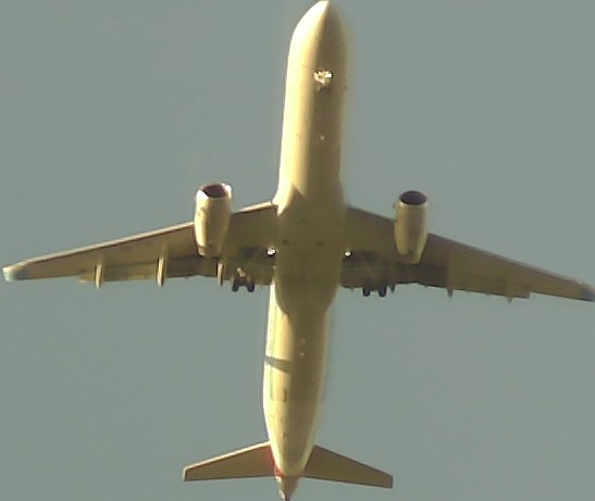 Airplane Picture