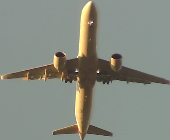 Airplane Picture